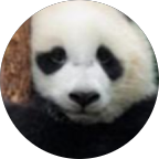 Consuelo Sabido Vázquez