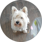 Consuelo Sabido Vázquez